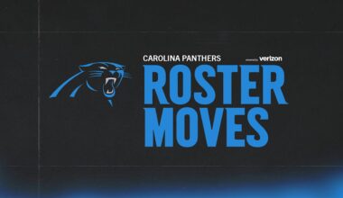 Carolina Panthers logo