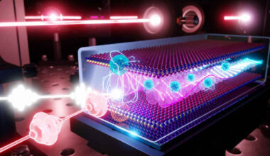 How to train a magnet: Excitons as a new knob for magnetic control