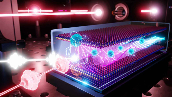 How to train a magnet: Excitons as a new knob for magnetic control