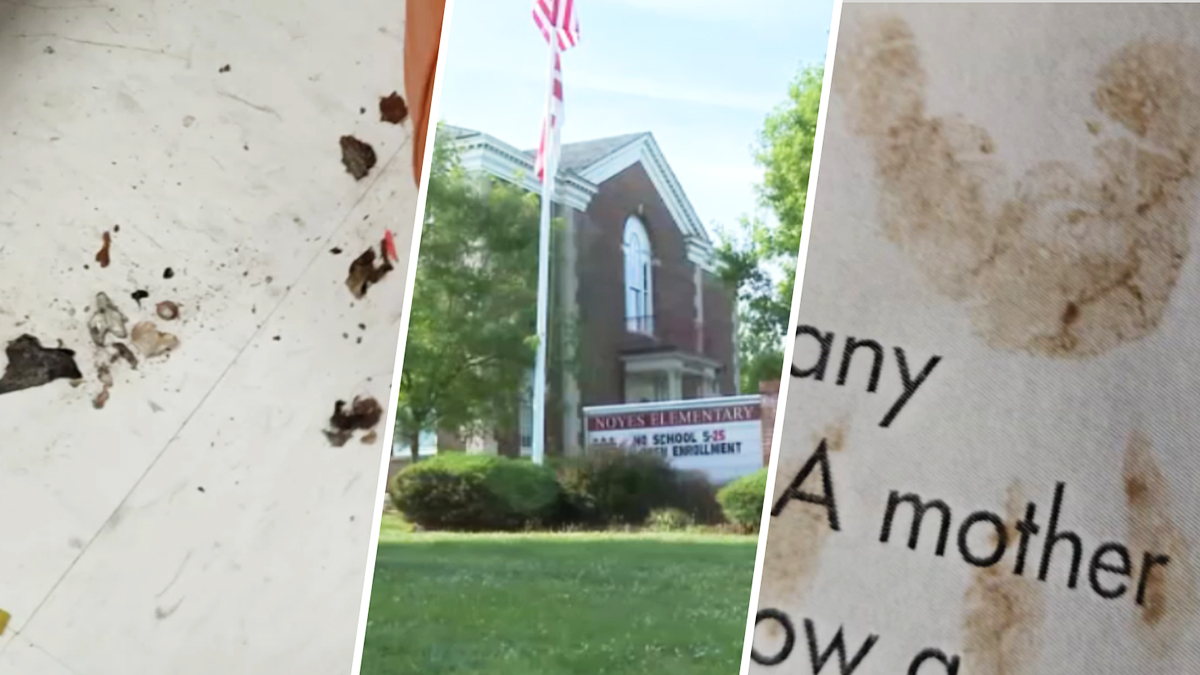 School raccoon infestation: What was found in a DC elementary – NBC4 Washington