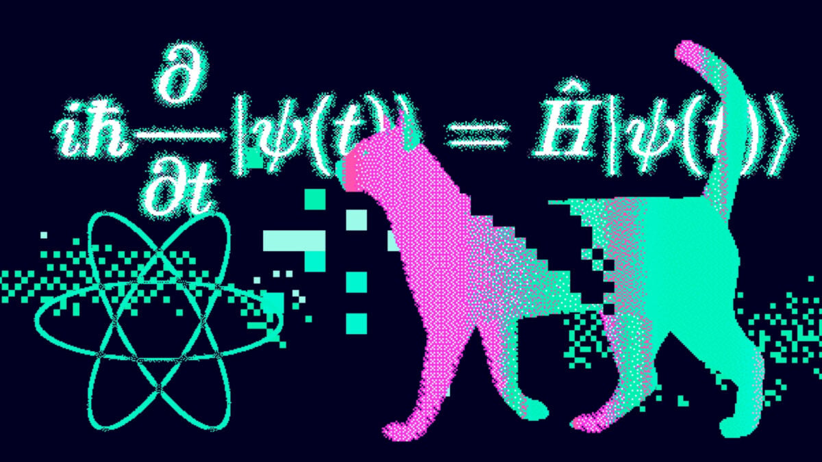 Physicists Created an Entirely New Species of Schrödinger’s Cat