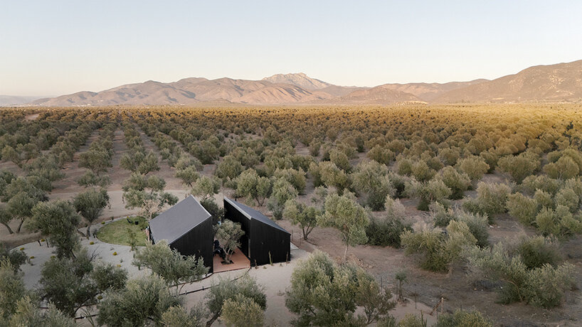two corrugated metal volumes shelter courtyard retreat in mexico's desert landscape - 1