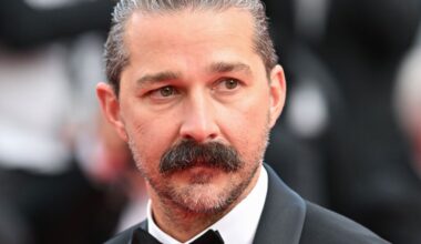 Shia LaBeouf Pleads Guilty To Punching People During Mardi Gras