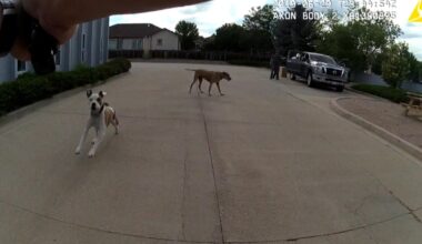 Northern Colorado city pays record-breaking $675,000 settlement for shooting of dog