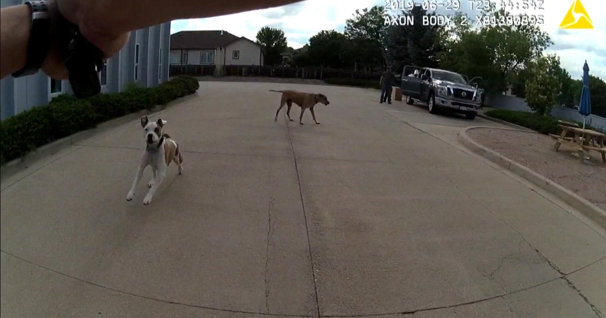 Northern Colorado city pays record-breaking $675,000 settlement for shooting of dog