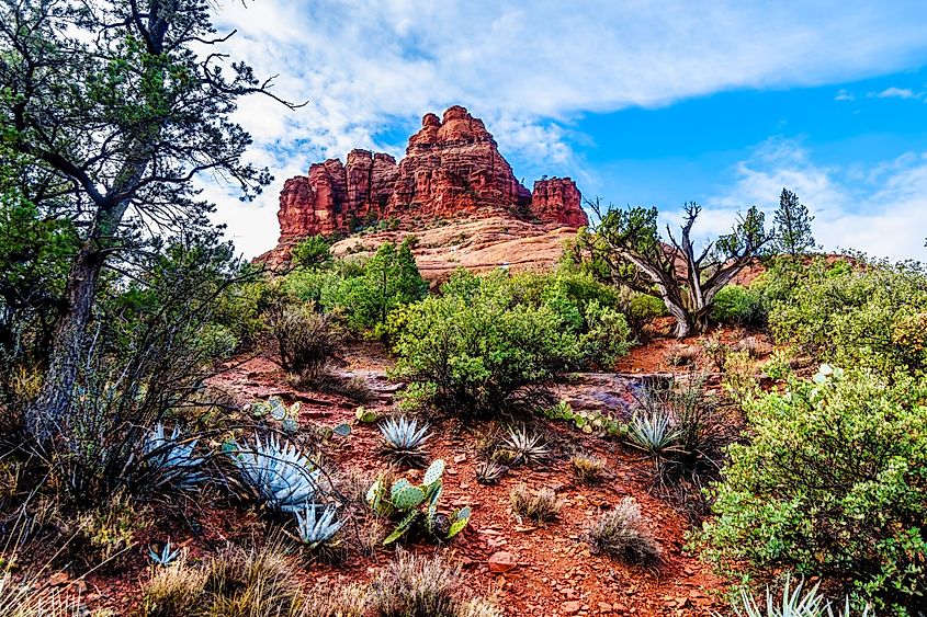 Bell Rock showing vegetation growing on the red rocks and red soil in Coconino National Forest near Sedona, Arizona.