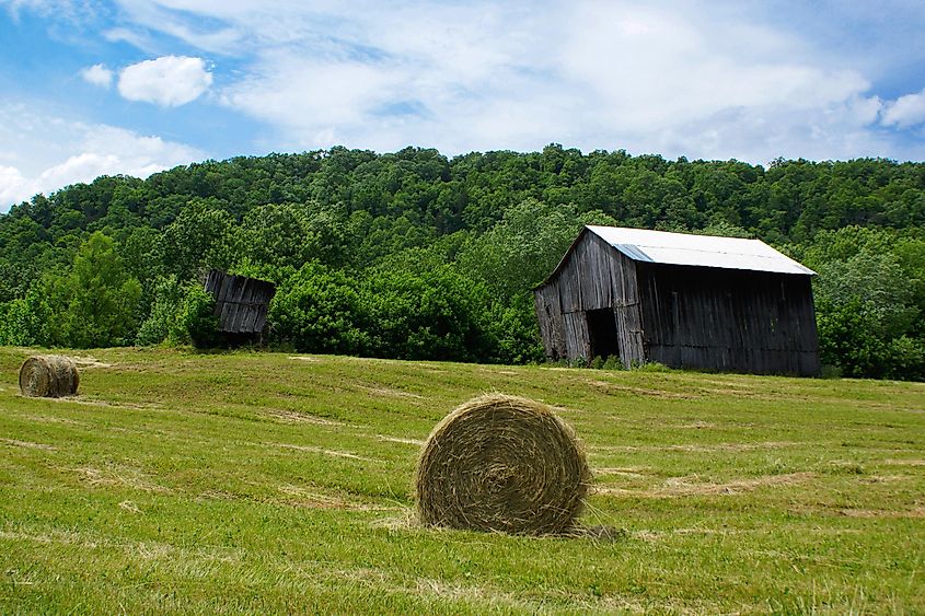A farm in Lee County, Kentucky