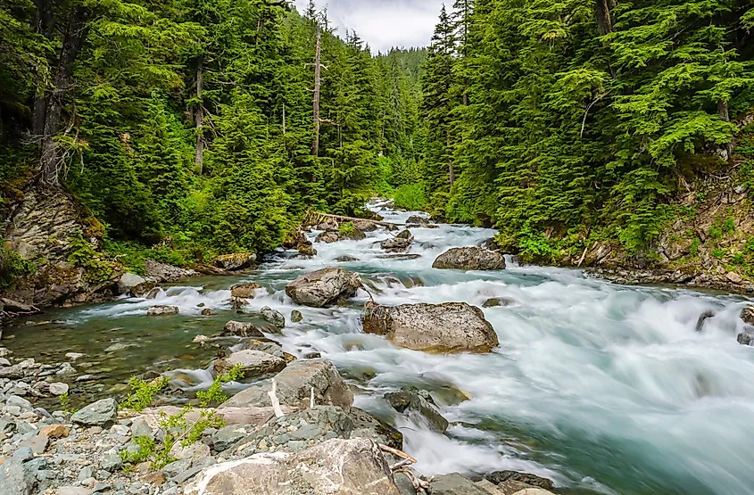 Summer landscape in the Chugach National Forest, Alaska