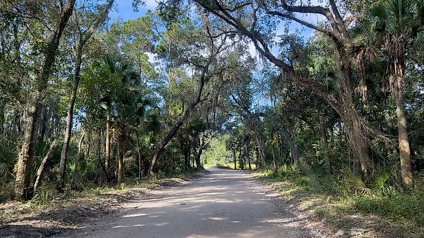 The drive through the forrest in Timucuan Ecological National Park in Jacksonville, Florida