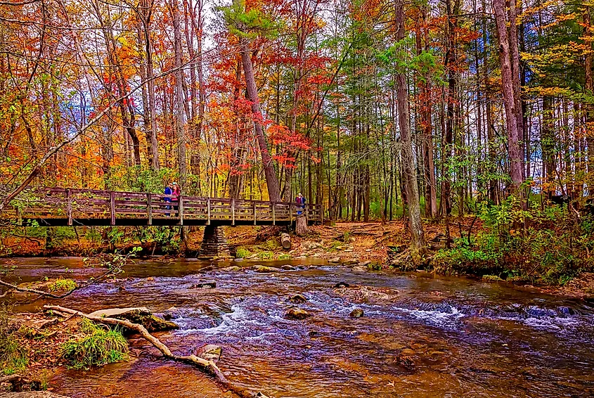 A footbridge over a mountain stream near Townsend, Tennessee.