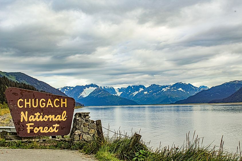 Chugach National Forest turnout on drive from Anchorage to Seward, Alaska