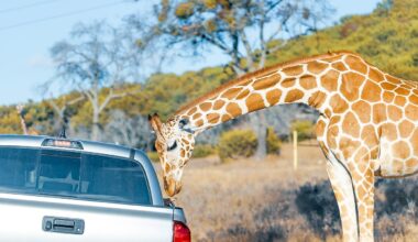 The Largest Zoos In the United States