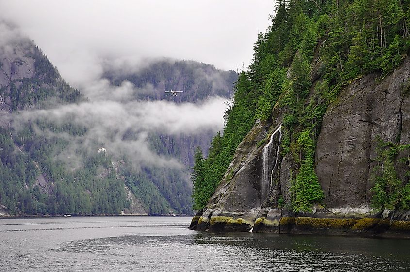 Mist over the Tongass National Forest, Alaska