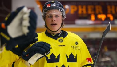 Maple Leafs should select Stenberg, analyst tells ‘NHL Draft Class’ podcast