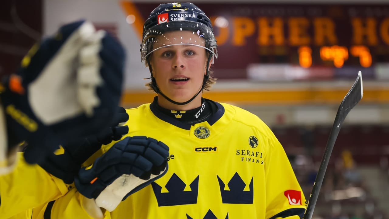 Maple Leafs should select Stenberg, analyst tells ‘NHL Draft Class’ podcast