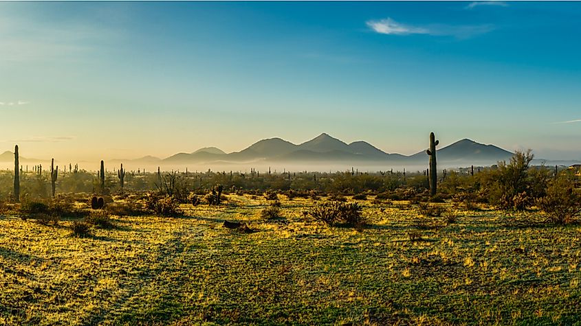 Desert trails winding through the Phoenix Sonoran Preserve in Arizona.