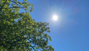 Gov. Ned Lamont declares Stage 2 drought advisory for multiple counties – NBC Connecticut