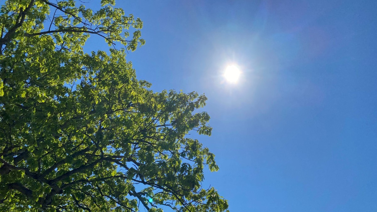 Gov. Ned Lamont declares Stage 2 drought advisory for multiple counties – NBC Connecticut