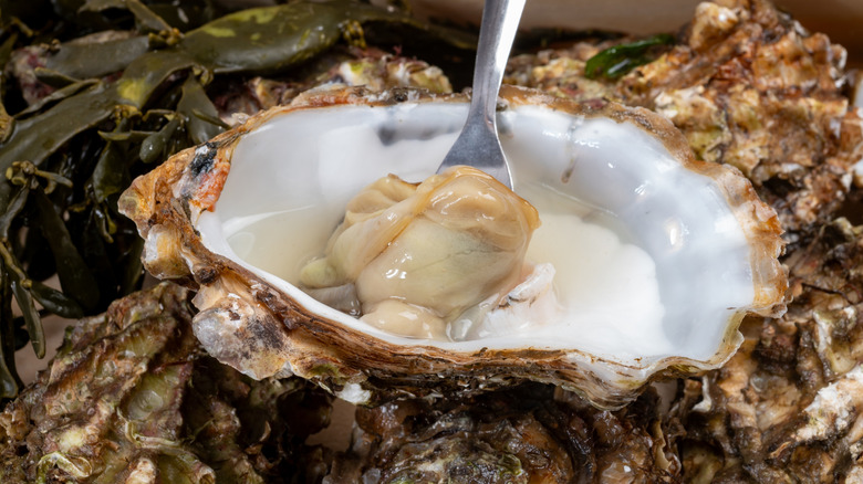 Fork in a fresh oysters