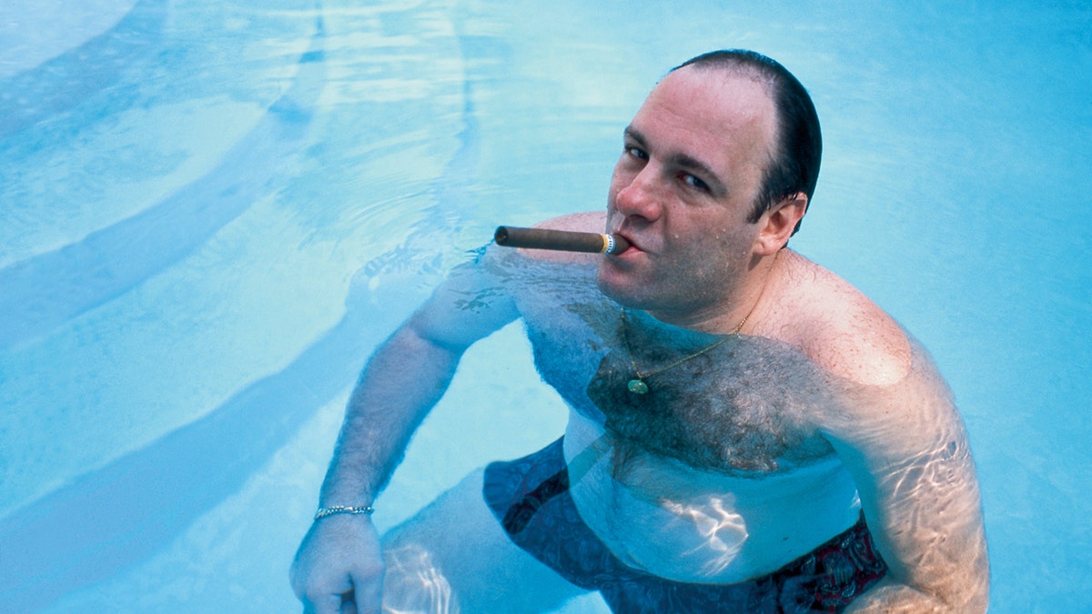 James Gandolfini as Tony Soprano smoking a cigar while standing in a pool.
