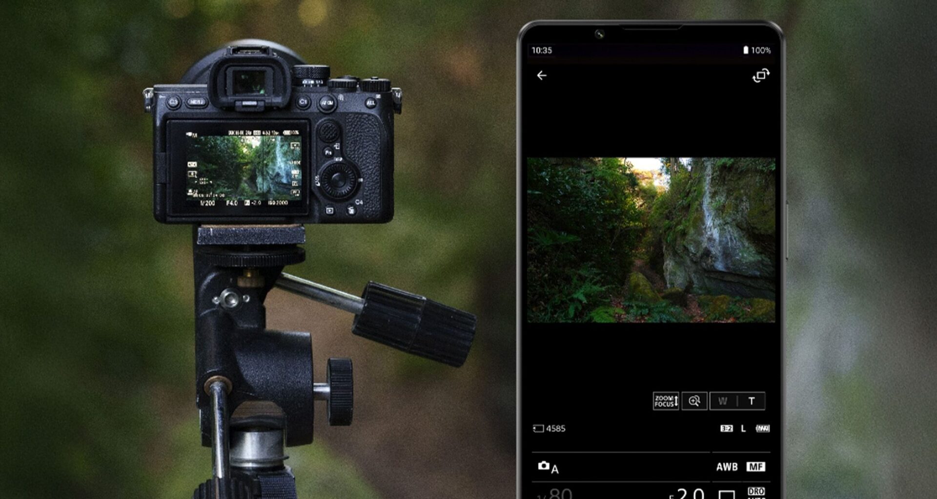 Now you can create ultra-short-form videos on your Sony camera, as 3-second "Motion Photos" come to Creator’s App