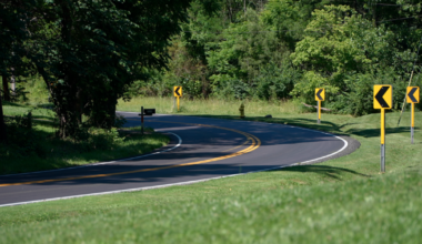 Residents report possible black bear in Anderson Township