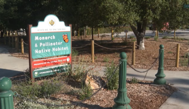 Atascadero opens monarch butterfly habitat along migration route