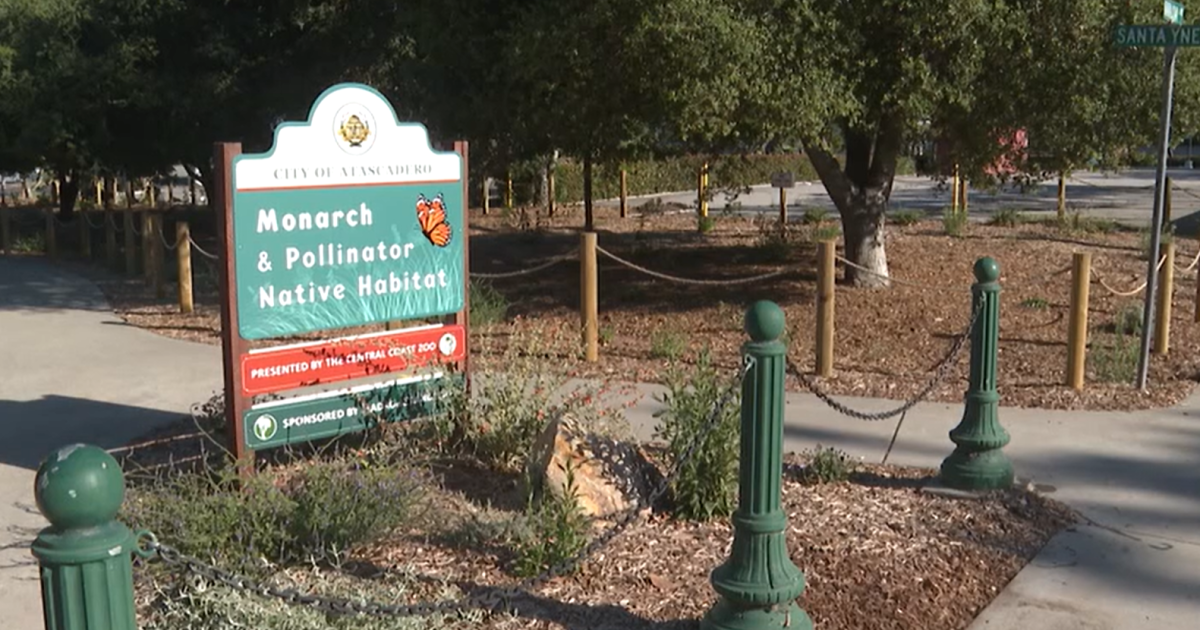 Atascadero opens monarch butterfly habitat along migration route