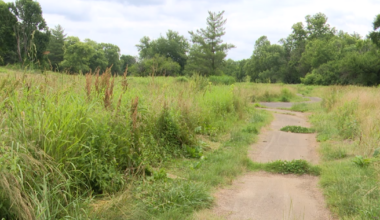 Old golf course in Paris set to become city's newest outdoor space