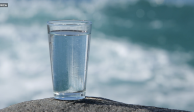 Arizona’s salty solution for its water future