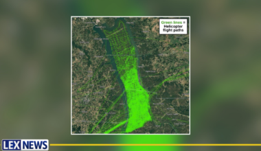 Aerial effort removes more than 1,800 wild pigs at Land Between the Lakes