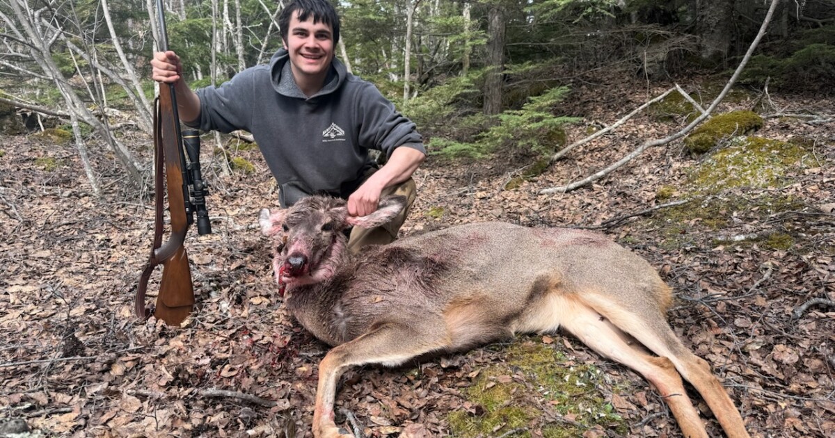 First Alaska mule deer harvest follows years of fleeting appearances in the state