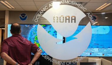 Ex-NOAA employees re-create a climate data site shut down by Trump : NPR