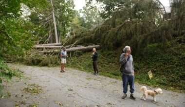 Cell carriers are using AI, drones and ‘cows’ to respond to hurricanes : NPR