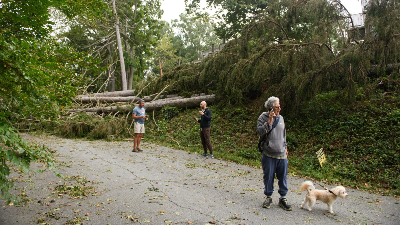 Cell carriers are using AI, drones and ‘cows’ to respond to hurricanes : NPR