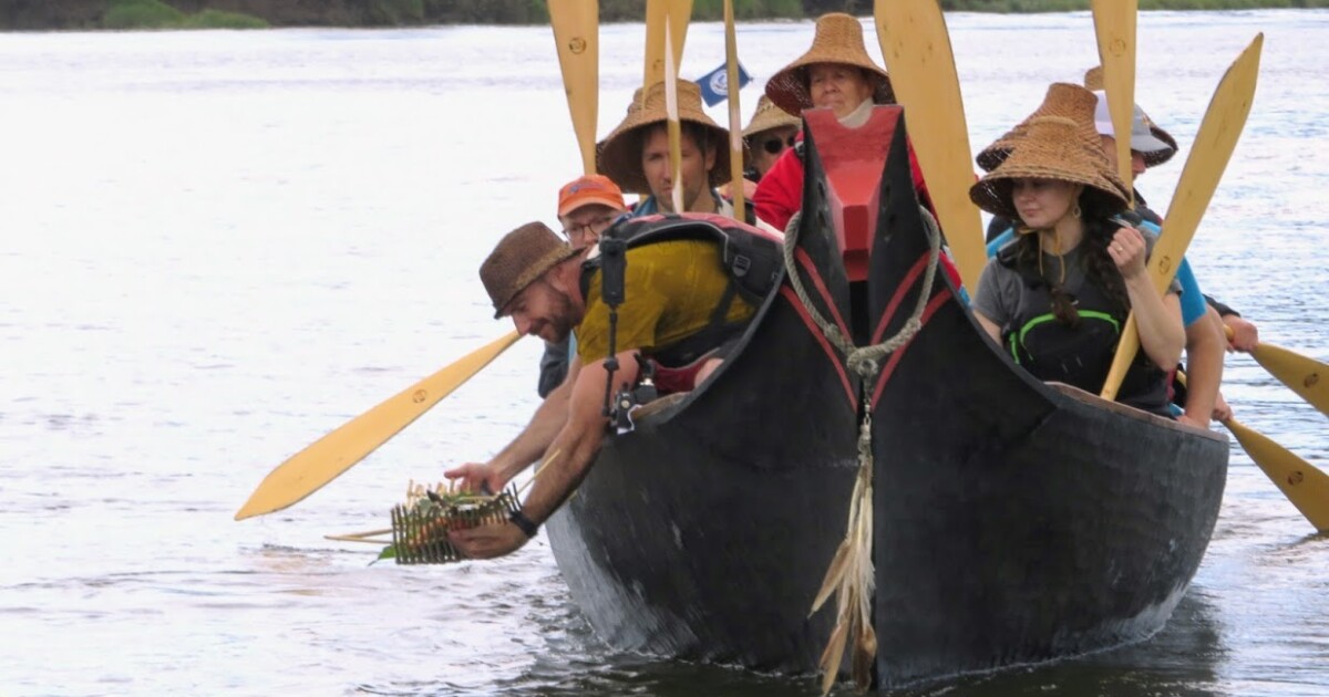 With levee breached, Siuslaw Estuary connects to its past life as a sanctuary for salmon, lamprey and tule