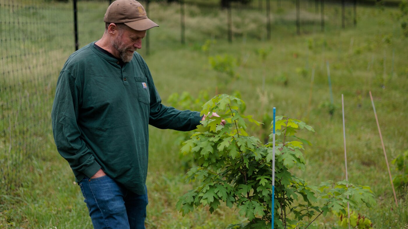 Closing cheap Forest Service labs could cost taxpayers more : NPR