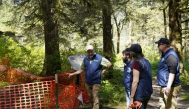 Crude oil surfaced at historic Treadwell Mine in Juneau. The state plans to study it.