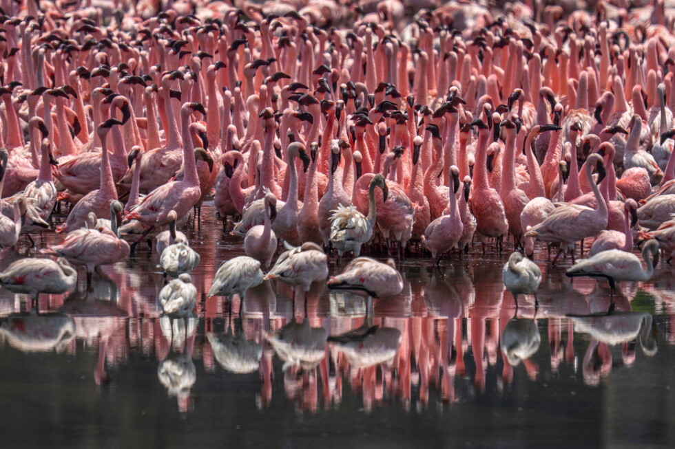 The top photos of the day by AP photojournalists