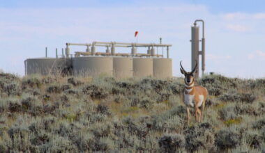 Group recommends long-sought pronghorn path protections