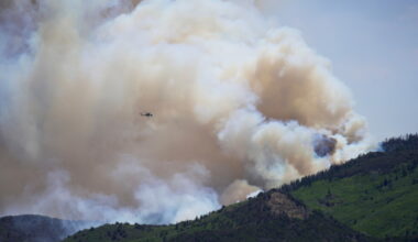 Trump administration launches US Wildland Fire Service amid worsening wildfires