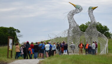 'Dancing for Joy' debuts at Ortenstone Gardens and Sculpture Park - Detroit Lakes Tribune