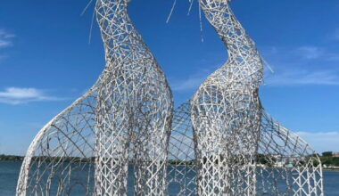 New Great Egret sculpture to debut at Ortenstone Gardens - Detroit Lakes Tribune