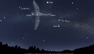 Astro Bob: Seize these short but starry nights - Duluth News Tribune