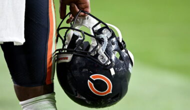 Bears are working on a bill for an Illinois stadium