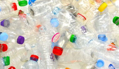 Get ready for Plastic Free July — the eco-challenge you've probably never heard of