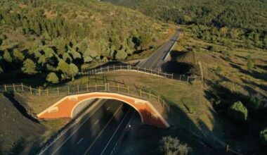 Colorado wildlife crossings now have dedicated funding