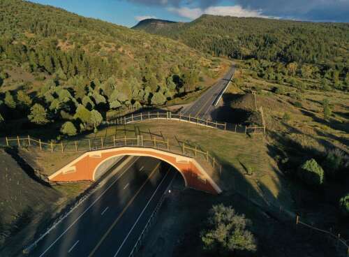 Colorado wildlife crossings now have dedicated funding