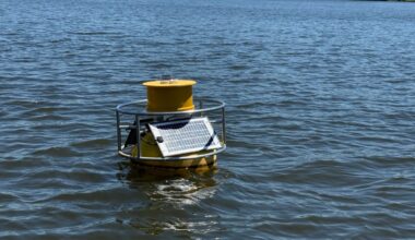 A buoy designed to monitor water quality floats in a local river.