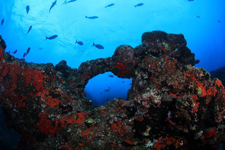 GREG MCFALL / NOAA
As the largest protected place on the planet, the Papahānaumokuākea Marine National Monument covers more than a half-million square miles of islands and atolls in the Pacific Ocean. With a presidential proclamation signed in the Oval Office, Trump removed the fishing limits within portions of the Papahānaumokuākea Marine National Monument near Hawaii.